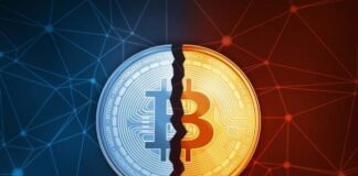 Over 110 Crypto Leaders Demand Stronger Protections For Open Source Development