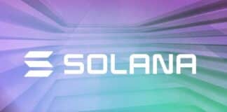 Crypto Industry Rallies Behind Storm As Open Source Liability Threatens Developers