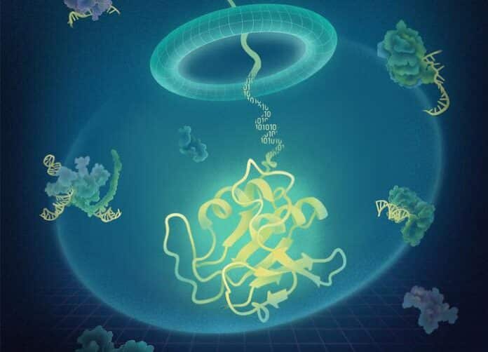 BindCraft Open Source Platform Transforms Protein Engineering For Labs Worldwide BindCraft Open Source Platform Transforms Protein Engineering For Labs Worldwide