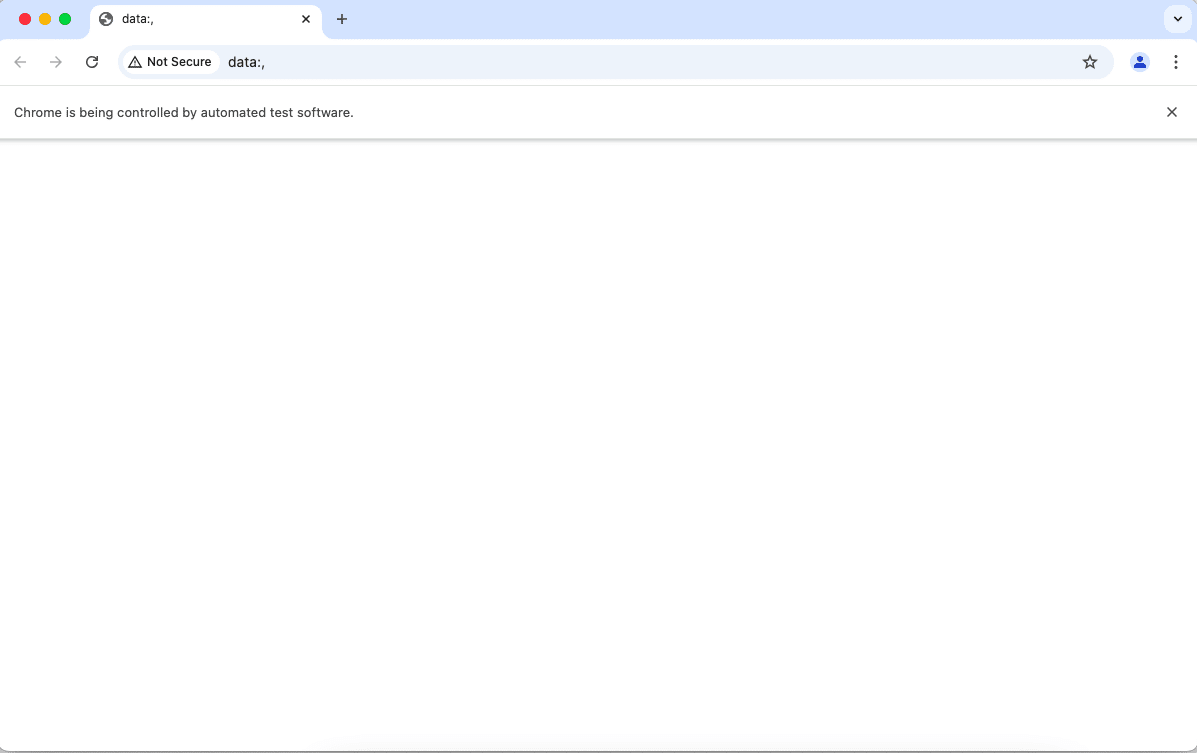 Browser window using Selenium