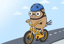 Go: Driving The Next Wave of Cloud-Native Infrastructure Go driving the next wave of cloud