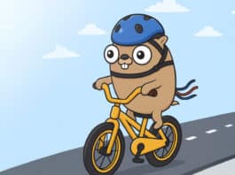 Go driving the next wave of cloud