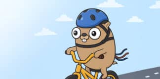 Go driving the next wave of cloud