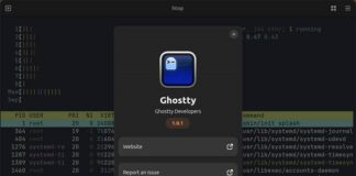 Open Source Ghostty Adopts Non-Profit Funding Model To Safeguard Community-First Terminal Infrastructure