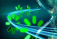 Electronics Cut LLM Training Costs Fast