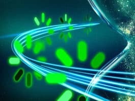 Electronics Cut LLM Training Costs Fast