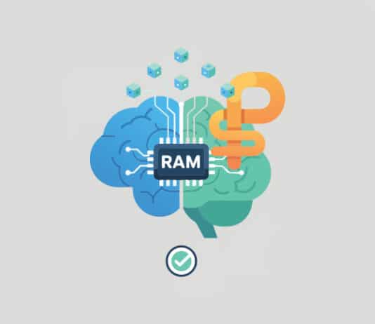 RAM Optimising