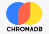 Open Source ChromaDB Flaw Enables Unauthenticated AI Model Execution Before Authentication Checks