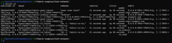 Figure 1: All eight containers are up after network.sh up createChannel