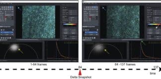Open Source FLIM Playground Simplifies And Standardises Advanced Cell Imaging Analysis
