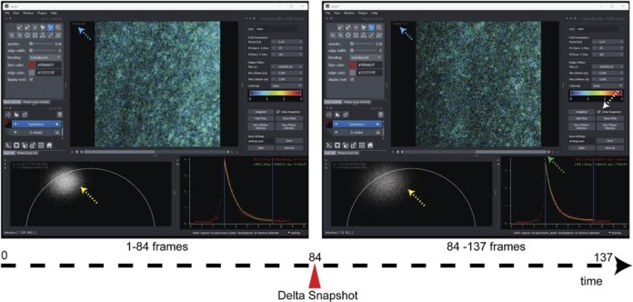 Open Source FLIM Playground Simplifies And Standardises Advanced Cell Imaging Analysis Open Source FLIM Playground Simplifies And Standardises Advanced Cell Imaging Analysis