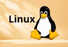 Linux