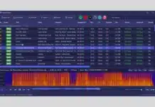 AudioAuditor