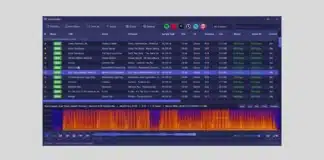 AudioAuditor