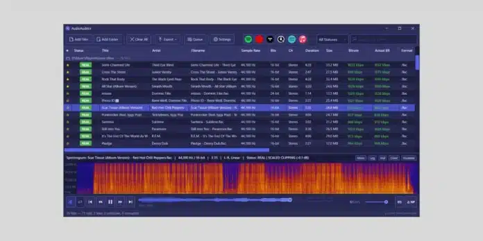 AudioAuditor