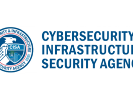 Cybersecurity and Infrastructure Security Agency (CISA)