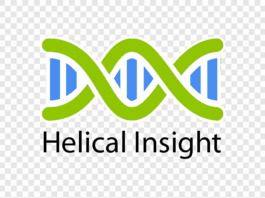 Helical Insight