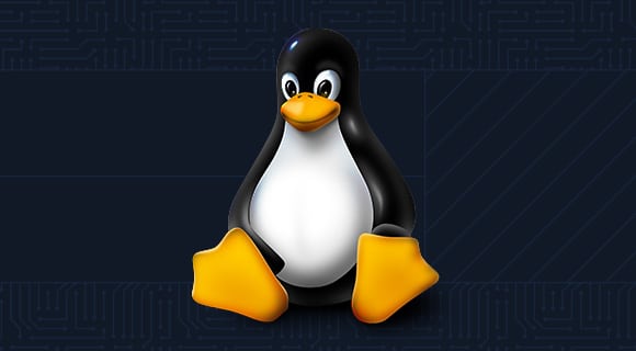 9e65e8b2-0cdb-4d14-8327-32b04a235731 Linux