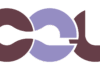 Google Common Expression Language (CEL)