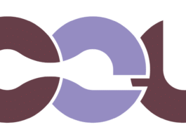 Google Common Expression Language (CEL)