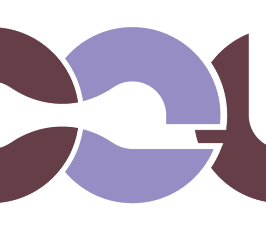 Google Common Expression Language (CEL)