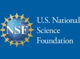 The US National Science Foundation (NSF)