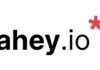 Ahey Brings Open-Source Video Calls to Webpages
