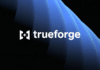TrueFoundry Trueforge
