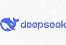 DeepSeek