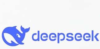 DeepSeek