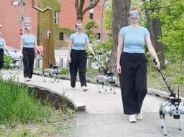 Robotic Guide Dog Assists Independent Navigation Milo: The open-source robotic guide dog