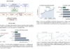 AutoResearch Workflow and Experimental Results
