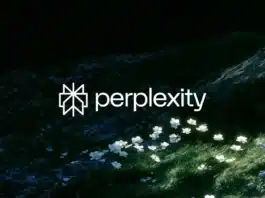Perplexity has open-sourced Lily