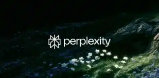 Perplexity has open-sourced Lily