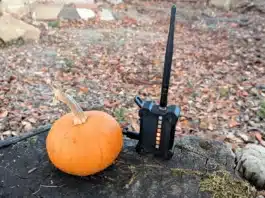 ESP32-C5 Device Scanning For Trackers And Drones