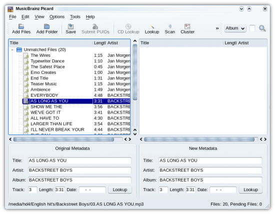 Figure 6: The Picard online tags editor from MusicBrainz