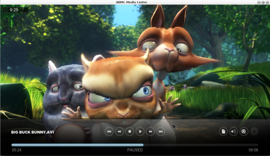 Figure 6: "The Big Buck Bunny" in XBMC