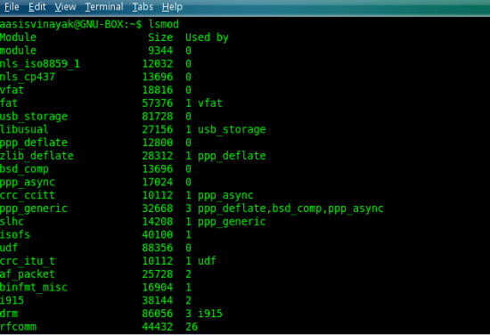 Figure 1: A typical lsmod output