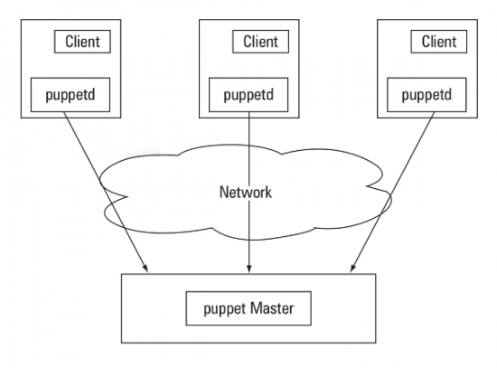 Figure 1: A typical Puppet setup