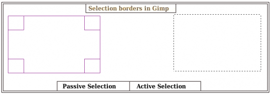 Figure 1: Types of selection