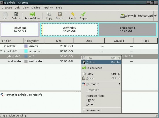 Figure 1: The GParted application