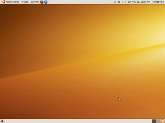 Figure 1: Ubuntu 9.10 desktop after installation